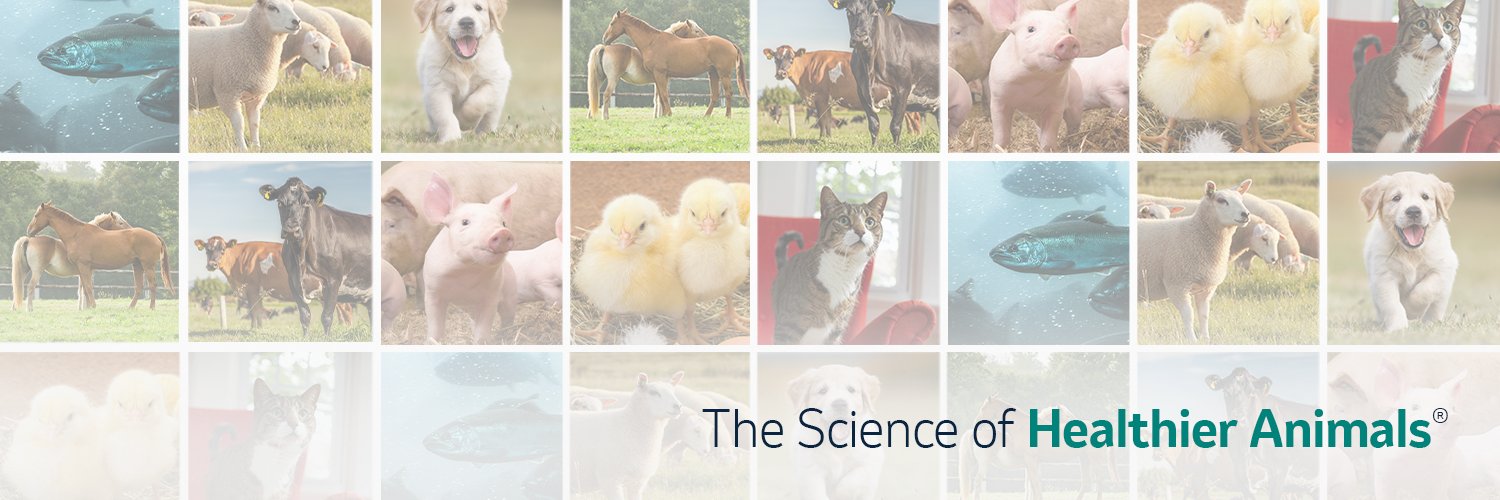 Merck Animal Health banner