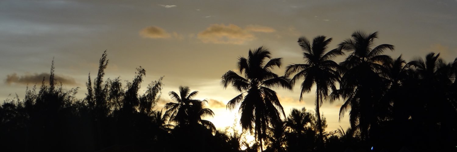 MlleSimphomy's profile banner image