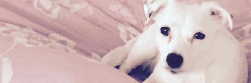 millie2508's profile banner image