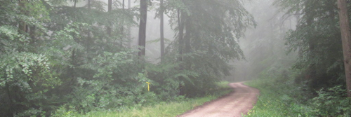 HelpMagconB's profile banner image