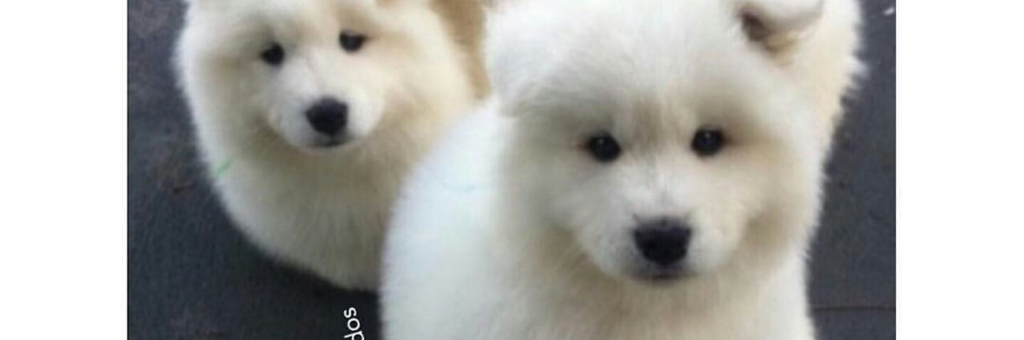 LucuLucu45's profile banner image