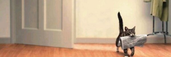 CPiou Profile Banner