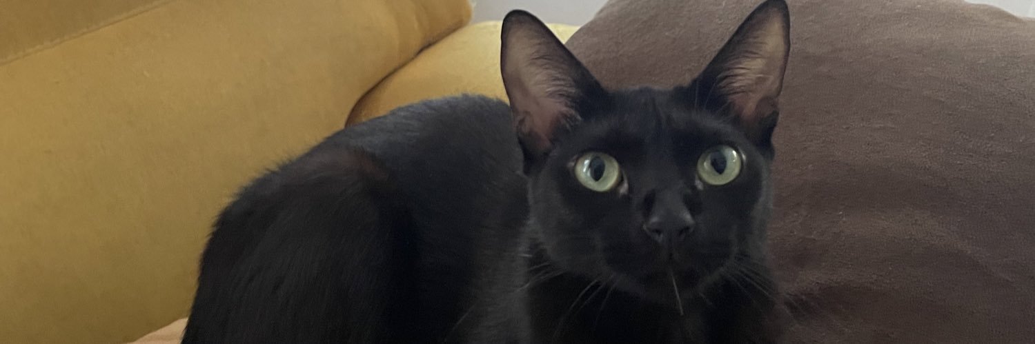 jsjsjunaboba's profile banner image