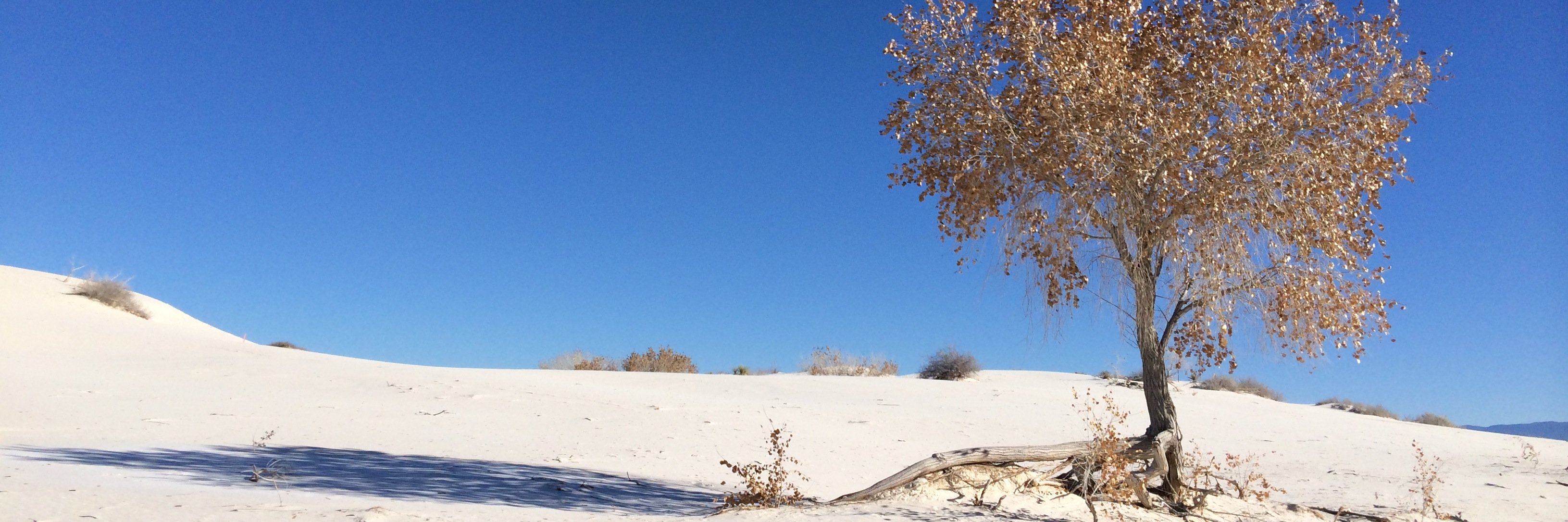 ObjVishleshak banner