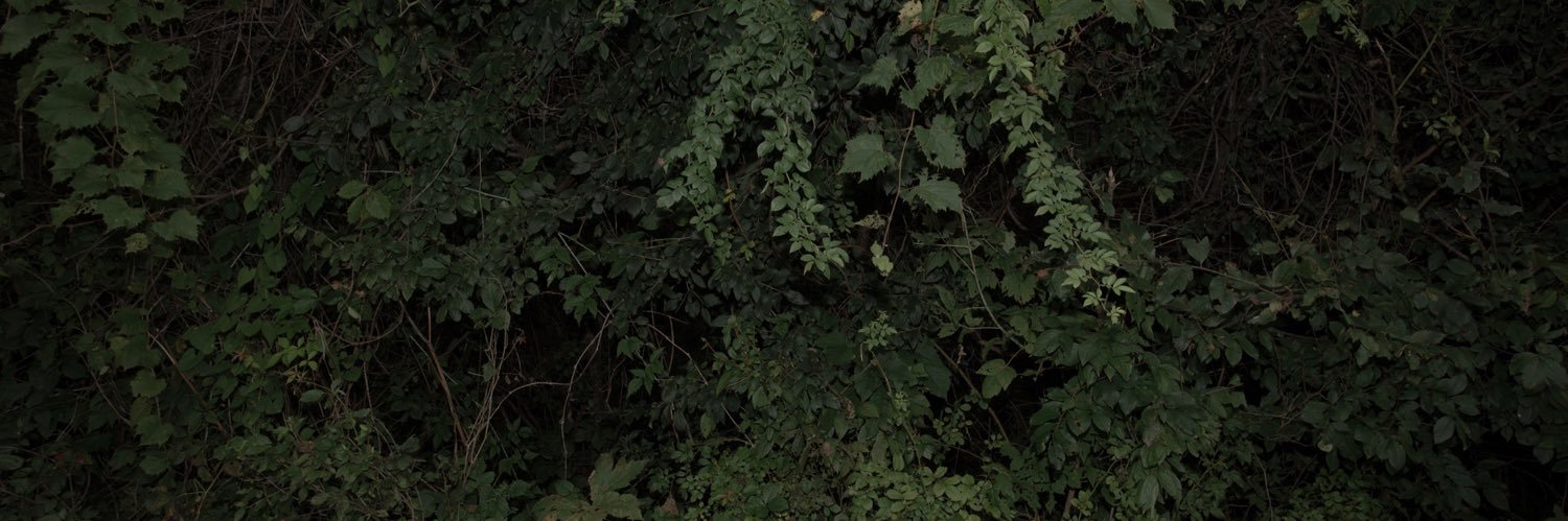 waxwanedrone's profile banner image