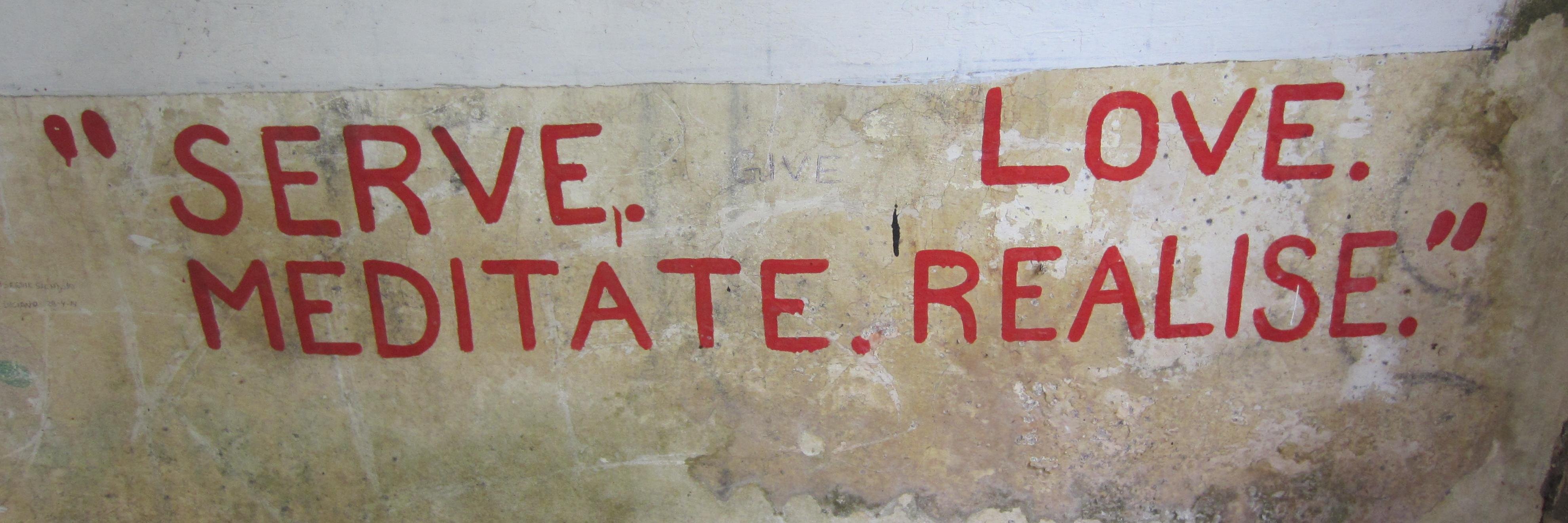 Mignon Senuta banner