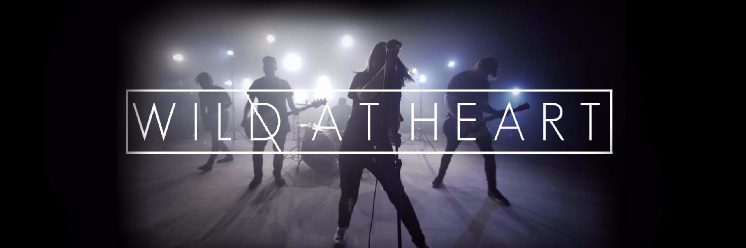 Wild_At_HeartUK's profile banner image