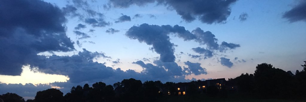 macy_wolf12's profile banner image