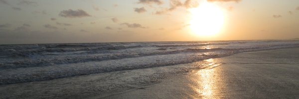 acemsdavis1 Profile Banner