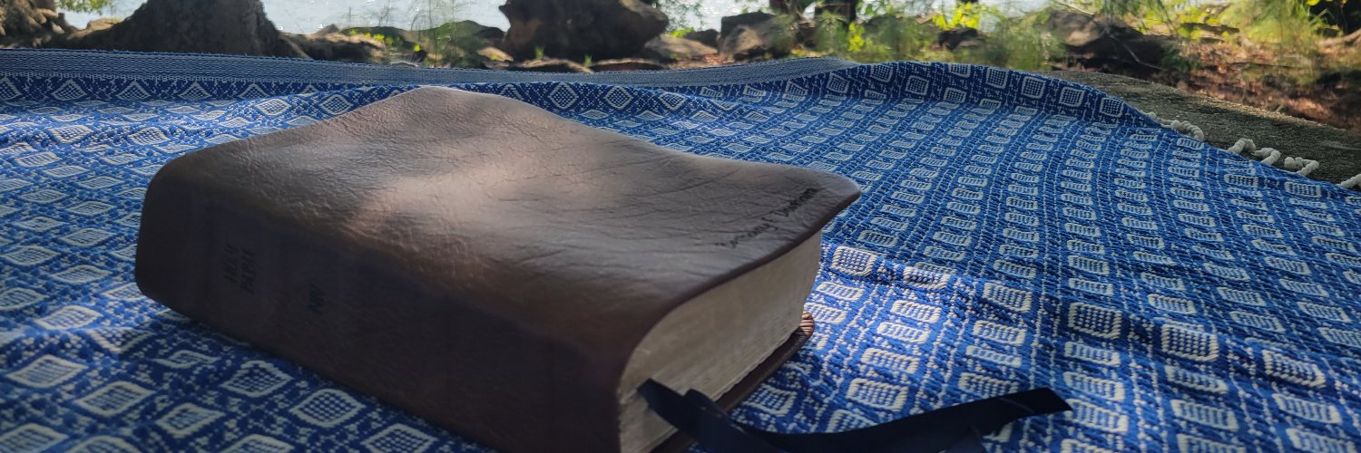 bethany e. donham 📚 banner