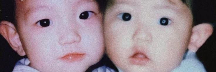 ceci 🌱 banner