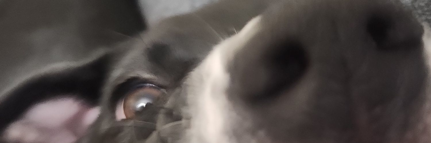 WobbleFreak's profile banner image