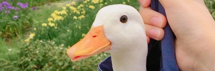 soadsaid95's profile banner image
