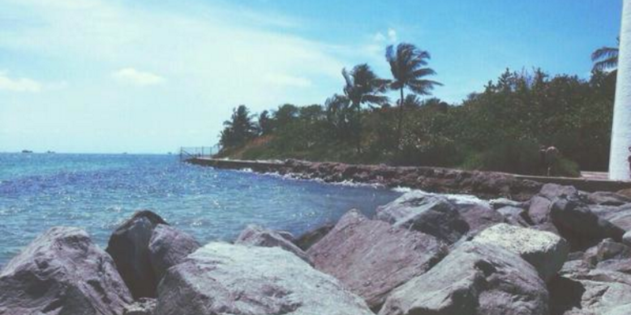 Edmondo__Alexis's profile banner image
