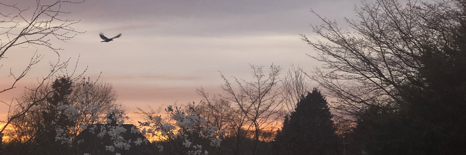 gemmabaileyy_'s profile banner image