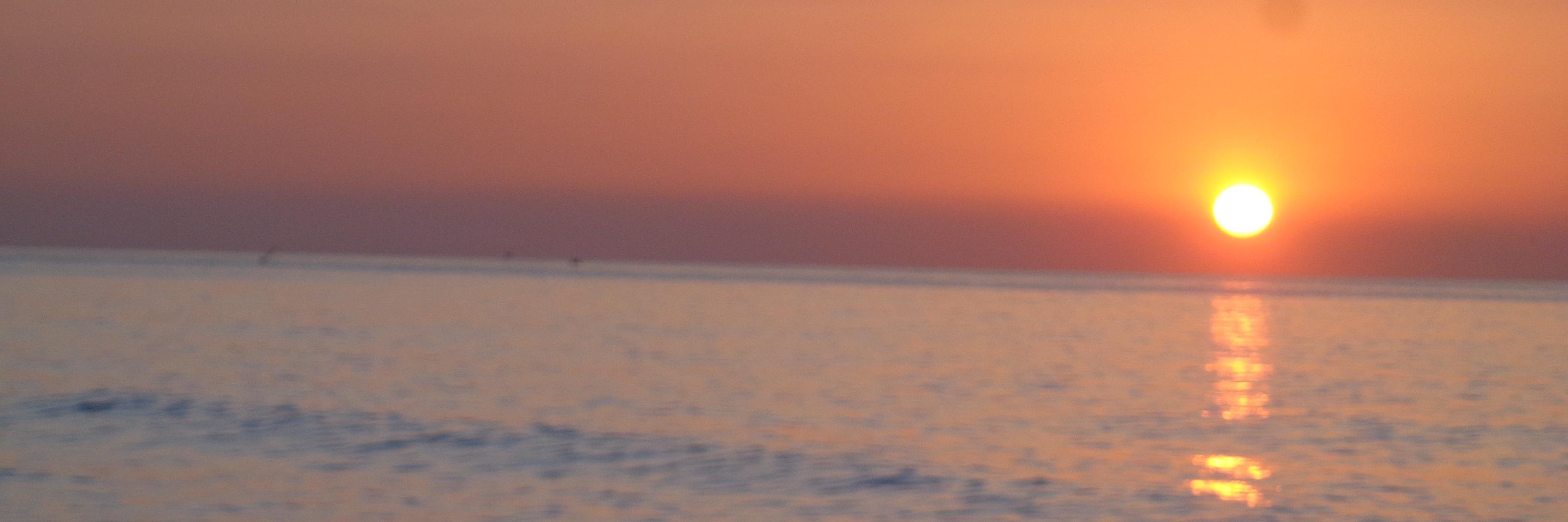 vanegal83's profile banner image