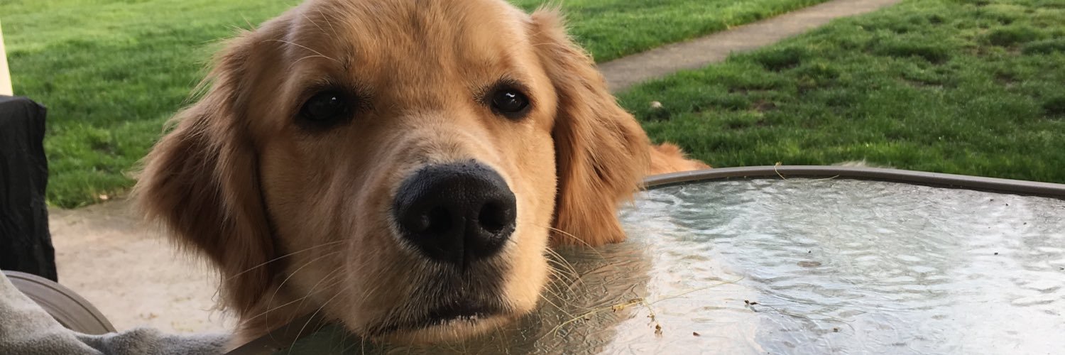 stefrisher's profile banner image