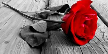 e95cac57fc05405's profile banner image