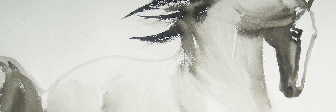Equus Film Festival banner