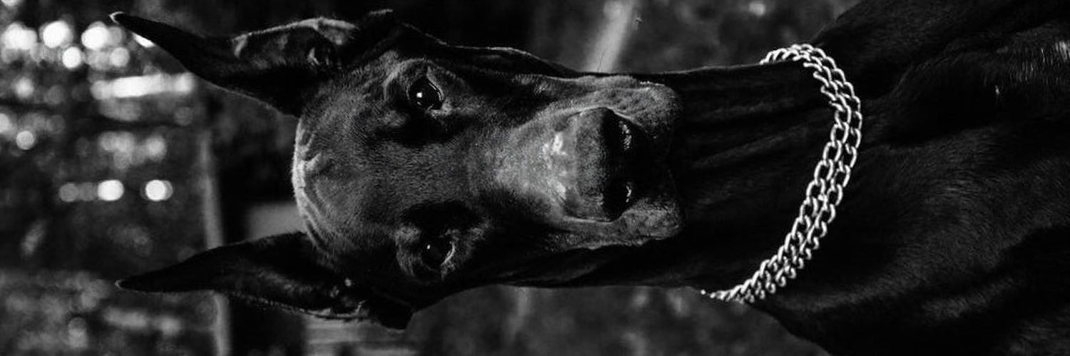 Donte6x's profile banner image