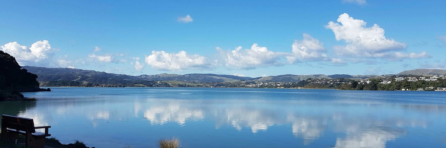 Hannah Henderson banner