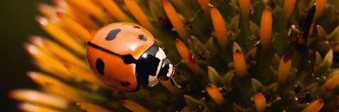 Todd A. Ugine banner