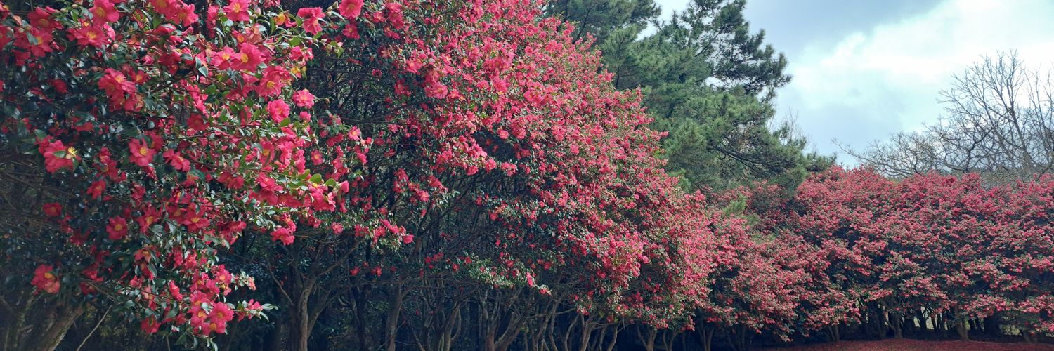 한지붕 세가족 감방행. banner