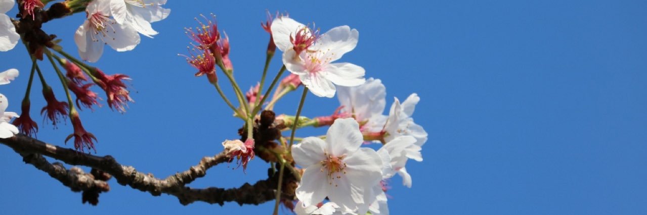 ひろしさん banner