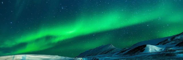 trParadigm's profile banner image