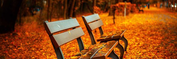 Vincesrring Profile Banner