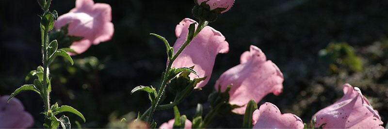 문학동네 편집부 banner