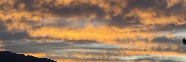 SachinParikhMD Profile Banner