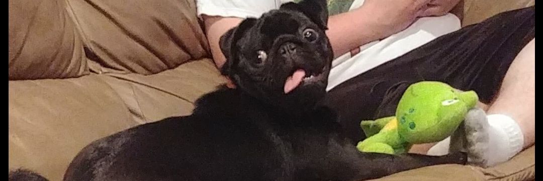 OrangeOtis7's profile banner image