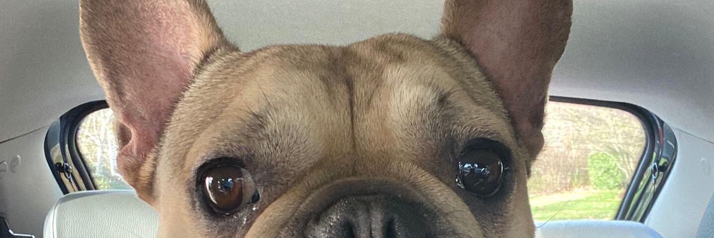Barb 💙 banner