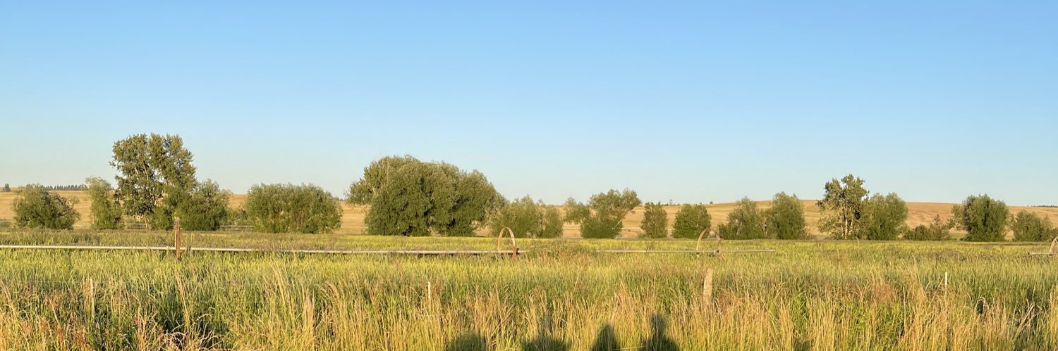 _nataliem3's profile banner image