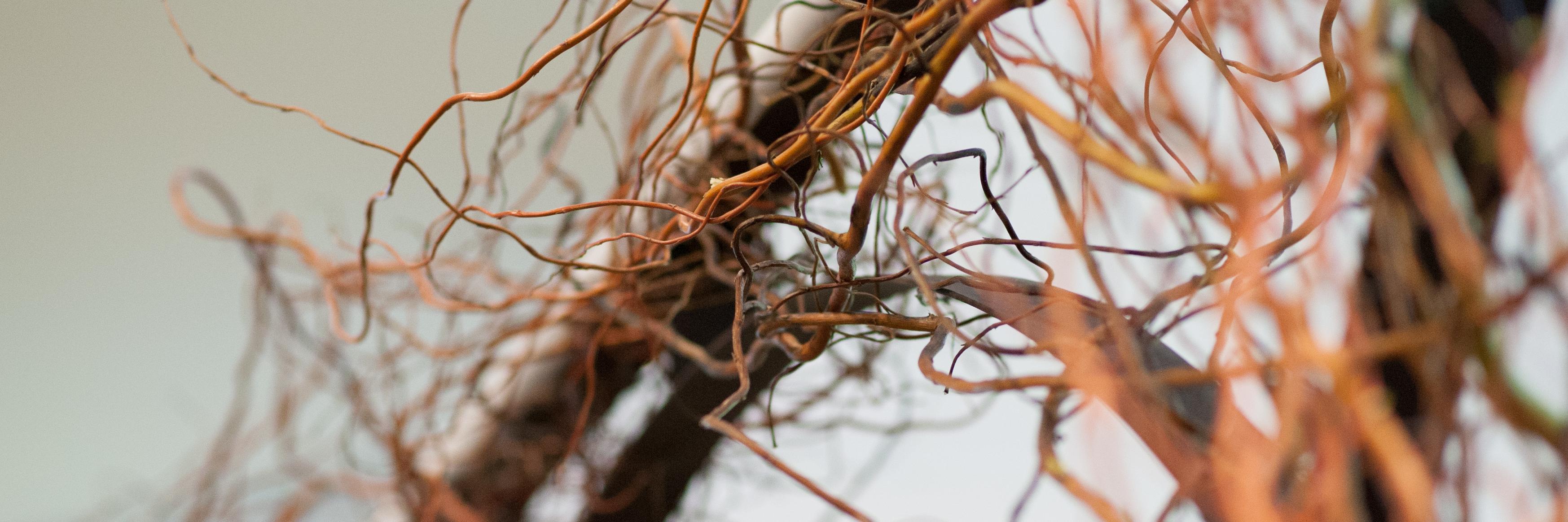 Mitsui Collective banner