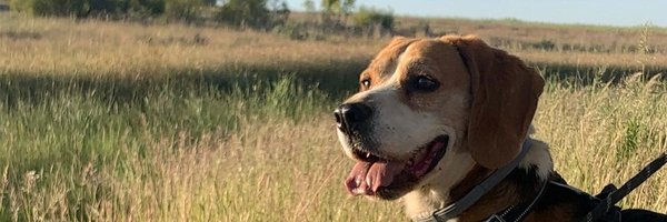 nando8barre Profile Banner