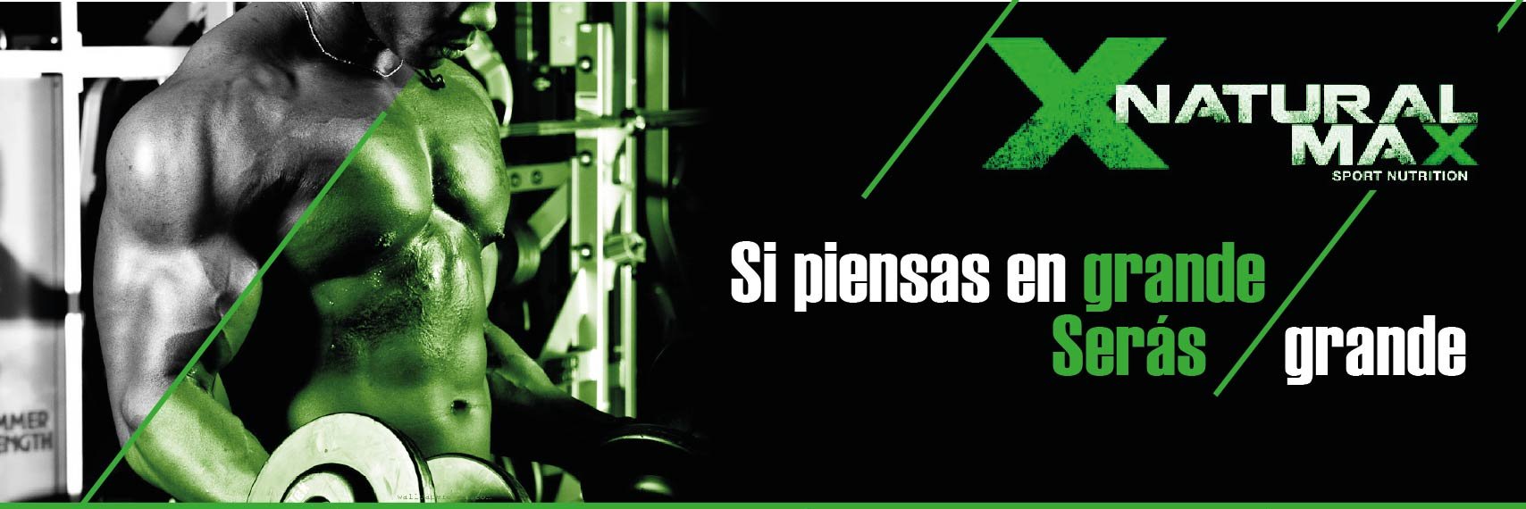 NaturalMaxl's profile banner image