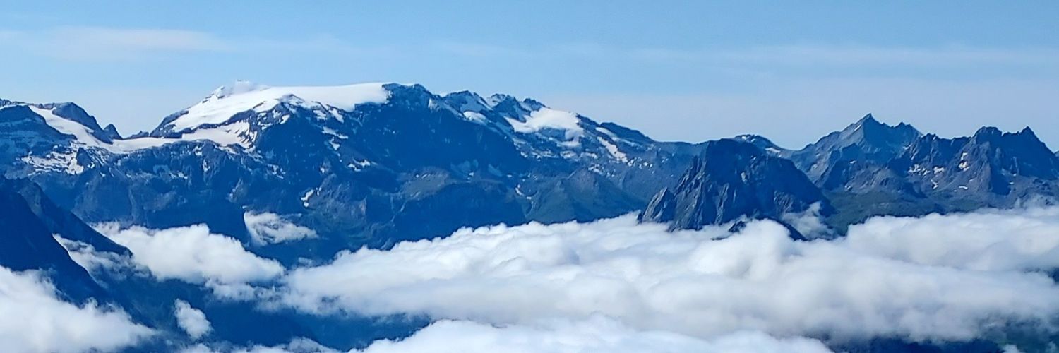 Fabrice Drouzy's banner