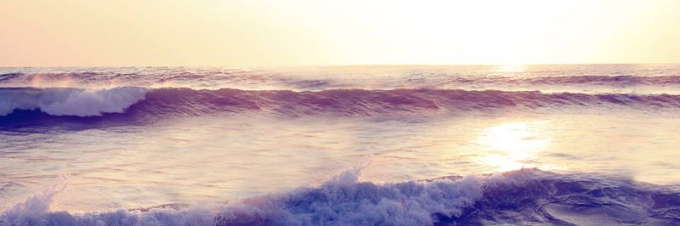 EBotha3's profile banner image