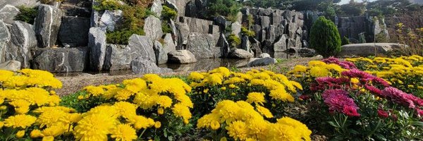 ali07492 Profile Banner