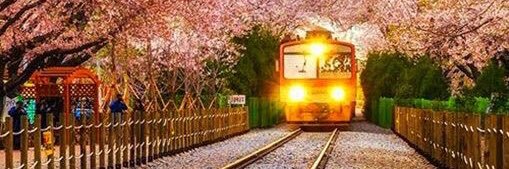 chroniclecrow's profile banner image