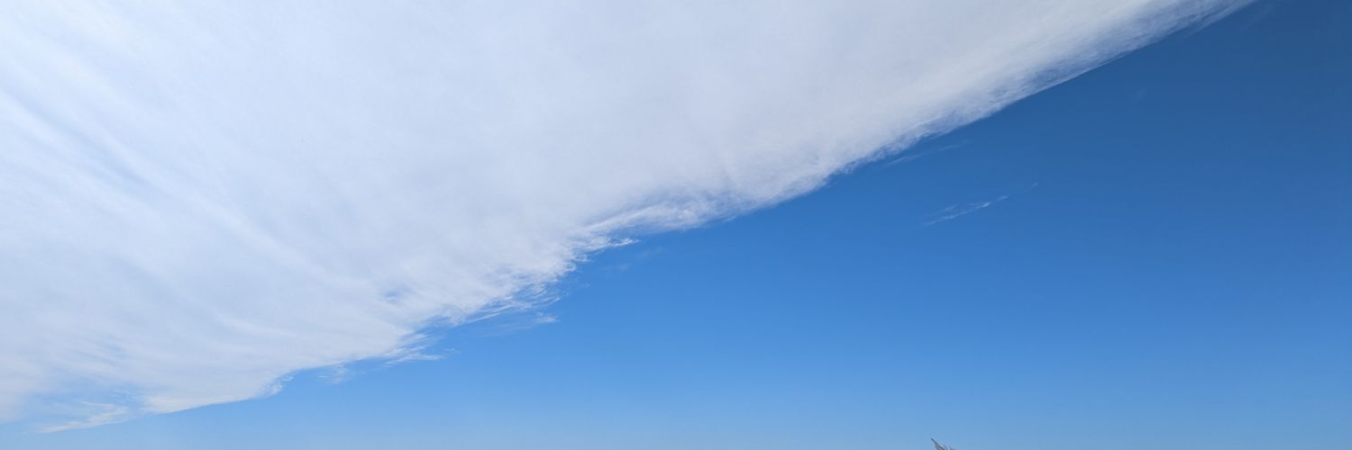 Твоя Сис banner