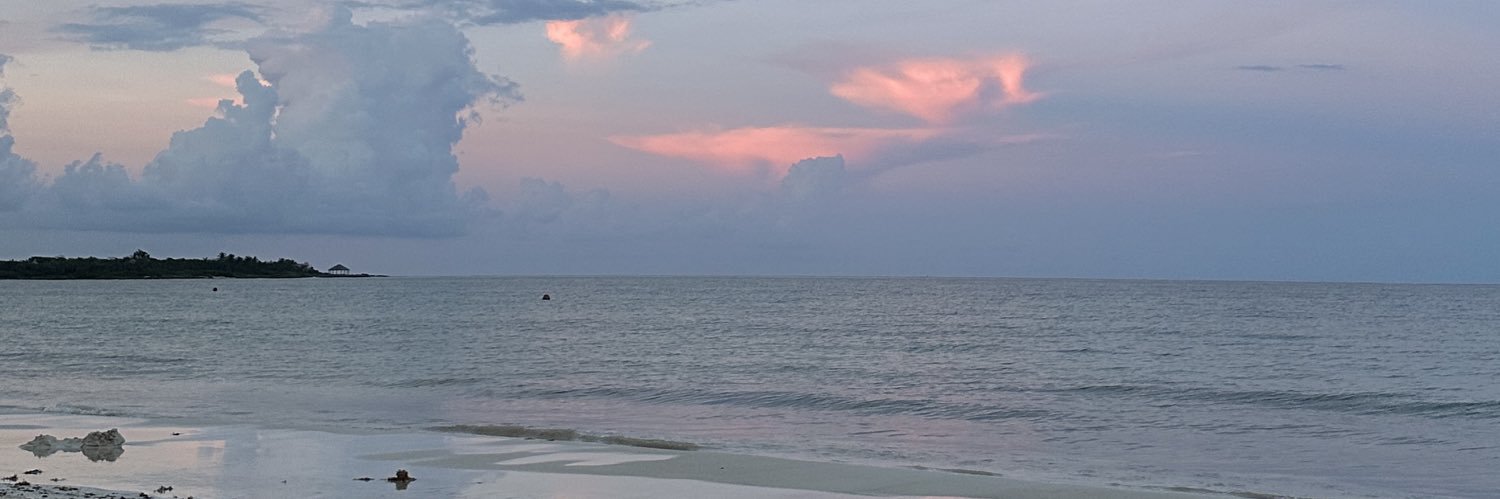 lunacastilloOO's profile banner image