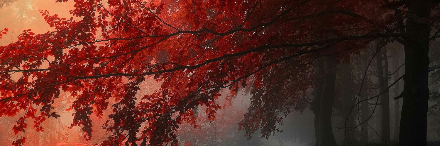 brajeshsinghraj's profile banner image