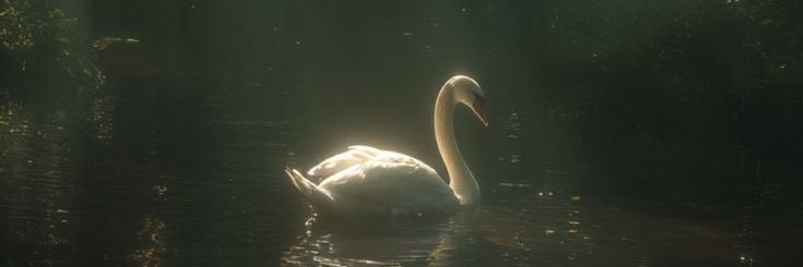 sugarsav's profile banner image