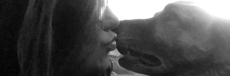 Liz_CAlifa's profile banner image