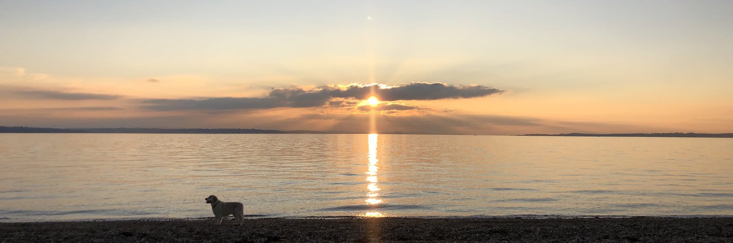 KimLendon96's profile banner image