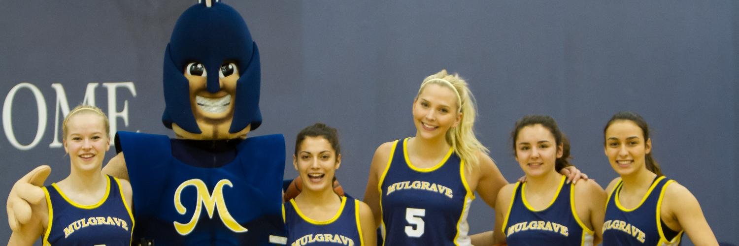 Mulgrave Coaches banner