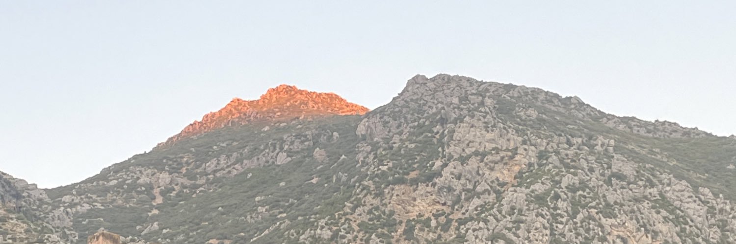 ummehanihakimi's profile banner image